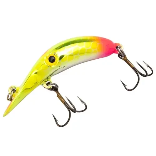 Carp Fishing Tackle